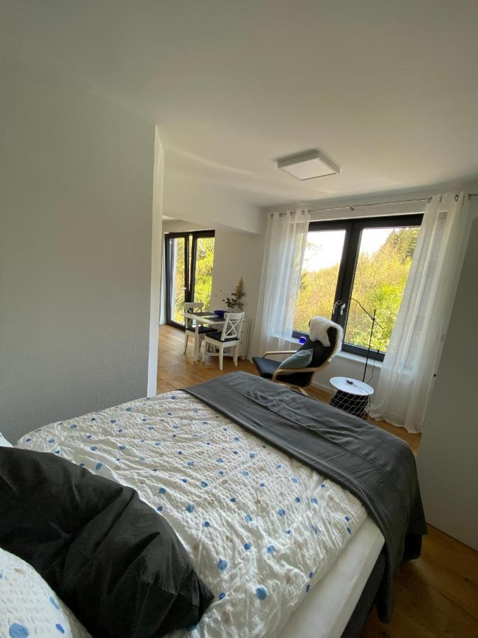 BalveWaldurlaub Klingelborn Im Sauerland公寓 外观 照片